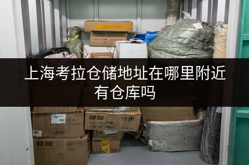 上海考拉仓储地址在哪里附近有仓库吗