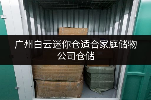 广州白云迷你仓适合家庭储物公司仓储