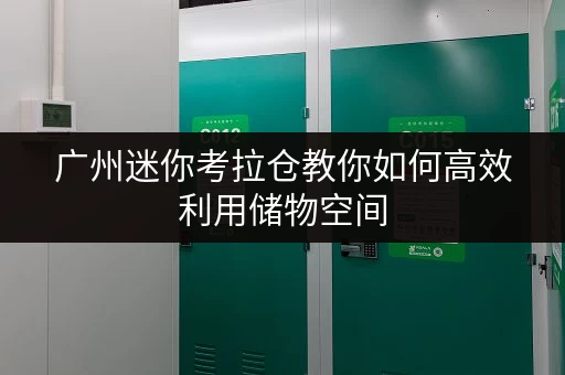 广州迷你考拉仓教你如何高效利用储物空间