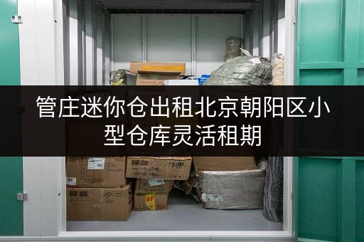 管庄迷你仓出租北京朝阳区小型仓库灵活租期