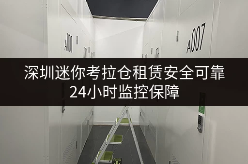 深圳迷你考拉仓租赁安全可靠24小时监控保障