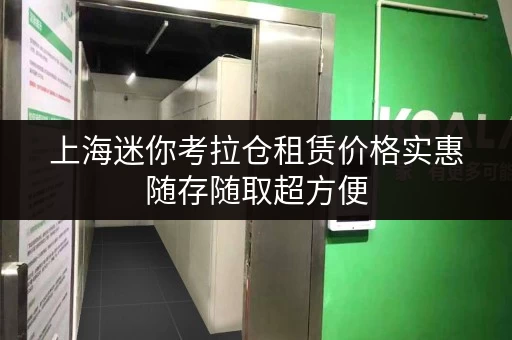 上海迷你考拉仓租赁价格实惠随存随取超方便