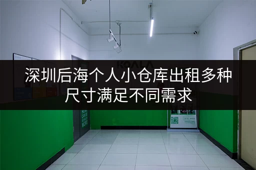 深圳后海个人小仓库出租多种尺寸满足不同需求 深圳后海个人小仓库出租多种尺寸满足不同需求