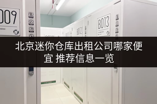 北京迷你仓库出租公司哪家便宜 推荐信息一览