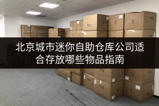 北京城市迷你自助仓库公司适合存放哪些物品指南