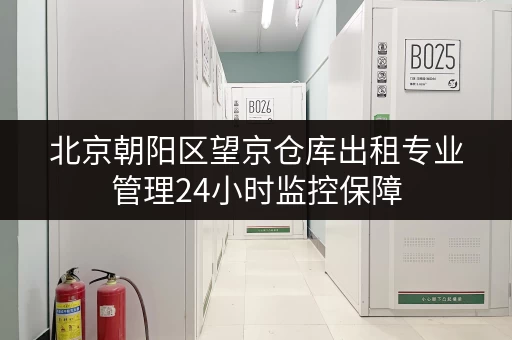 北京朝阳区望京仓库出租专业管理24小时监控保障