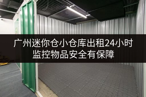 广州迷你仓小仓库出租24小时监控物品安全有保障