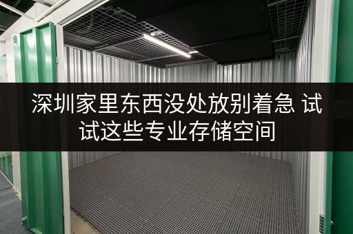 深圳家里东西没处放别着急 试试这些专业存储空间