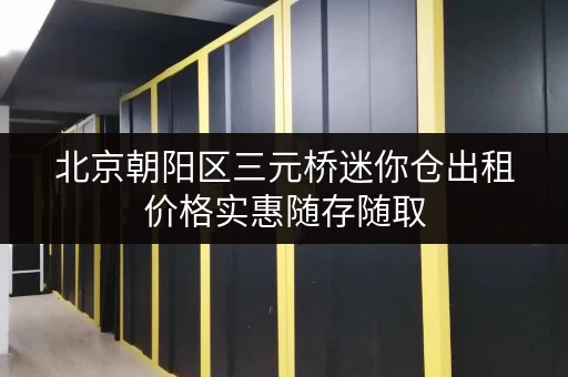 北京朝阳区三元桥迷你仓出租价格实惠随存随取