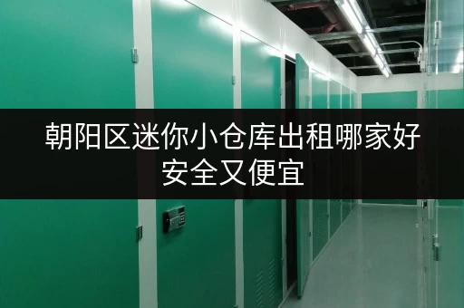 朝阳区迷你小仓库出租哪家好安全又便宜
