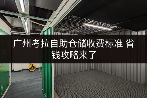 广州考拉自助仓储收费标准 省钱攻略来了