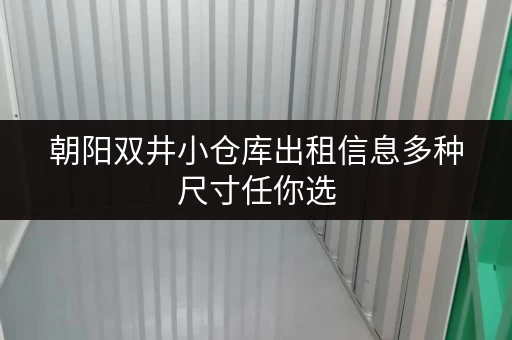 朝阳双井小仓库出租信息多种尺寸任你选