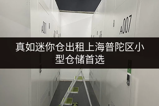 真如迷你仓出租上海普陀区小型仓储首选