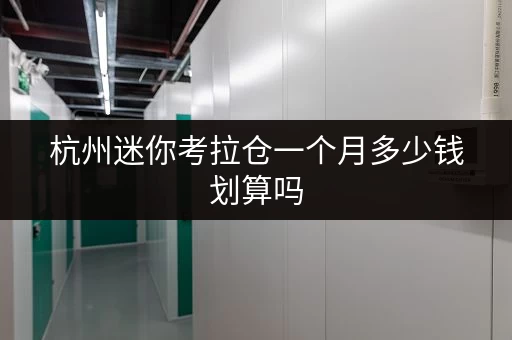 杭州迷你考拉仓一个月多少钱划算吗