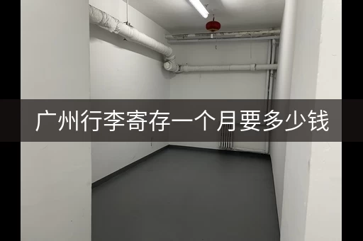 广州行李寄存一个月要多少钱，广州行李寄存一个月怎么收费