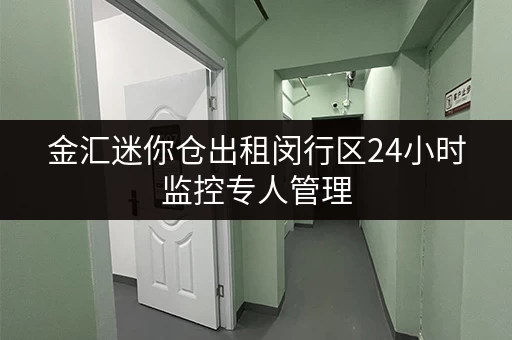 金汇迷你仓出租闵行区24小时监控专人管理 金汇迷你仓出租闵行区24小时监控专人管理