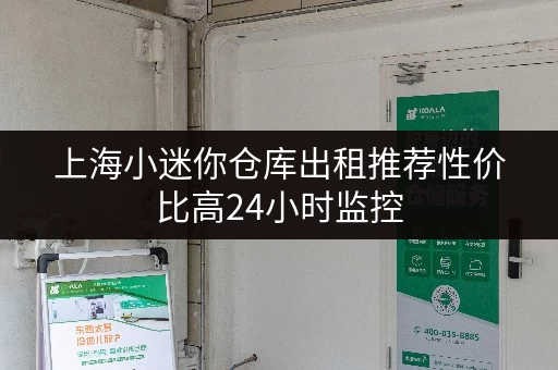 上海小迷你仓库出租推荐性价比高24小时监控