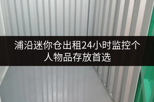 浦沿迷你仓出租24小时监控个人物品存放首选 浦沿迷你仓出租24小时监控个人物品存放首选