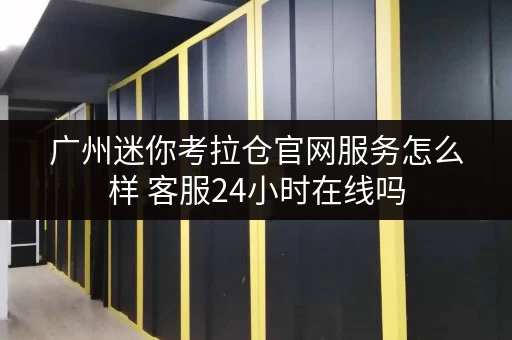 广州迷你考拉仓官网服务怎么样 客服24小时在线吗 广州迷你考拉仓官网服务怎么样 客服24小时在线吗