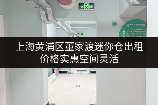 上海黄浦区董家渡迷你仓出租价格实惠空间灵活 上海黄浦区董家渡迷你仓出租价格实惠空间灵活