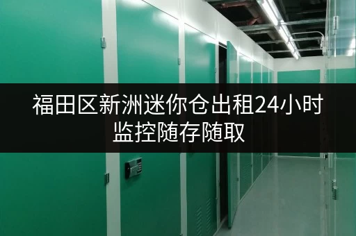 福田区新洲迷你仓出租24小时监控随存随取