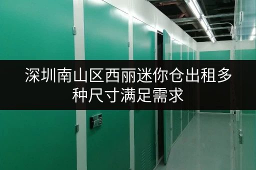深圳南山区西丽迷你仓出租多种尺寸满足需求