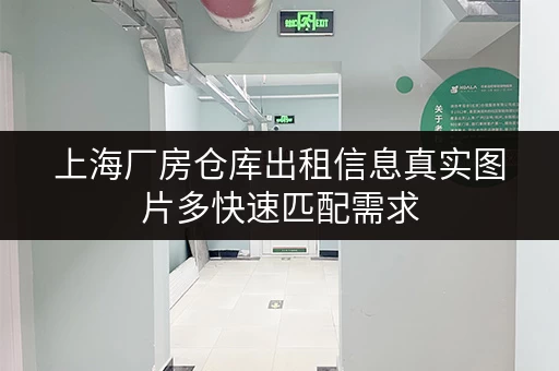 上海厂房仓库出租信息真实图片多快速匹配需求