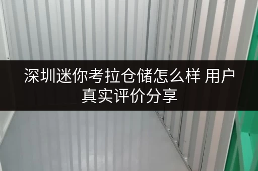 深圳迷你考拉仓储怎么样 用户真实评价分享