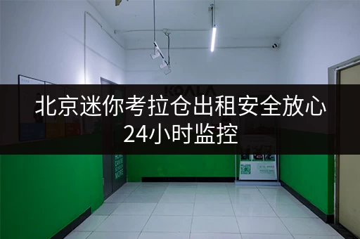 北京迷你考拉仓出租安全放心24小时监控