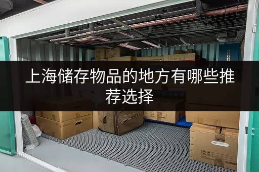 上海储存物品的地方有哪些推荐选择