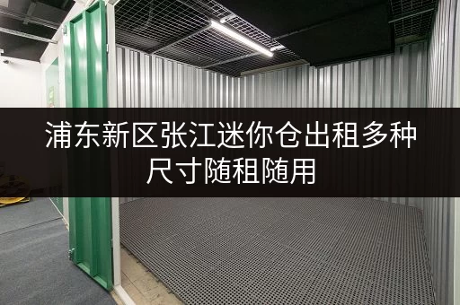 浦东新区张江迷你仓出租多种尺寸随租随用