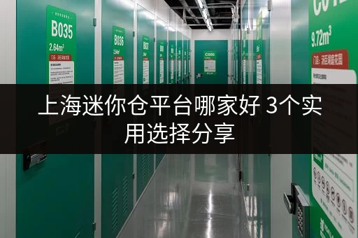 上海迷你仓平台哪家好 3个实用选择分享 上海迷你仓平台哪家好 3个实用选择分享