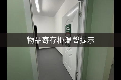 迷你考拉仓物品寄存柜，物品寄存仓