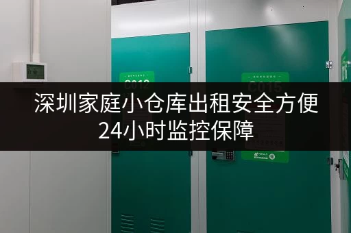 深圳家庭小仓库出租安全方便24小时监控保障