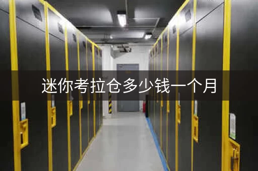 迷你考拉仓多少钱一个月，迷你考拉仓公司怎么样