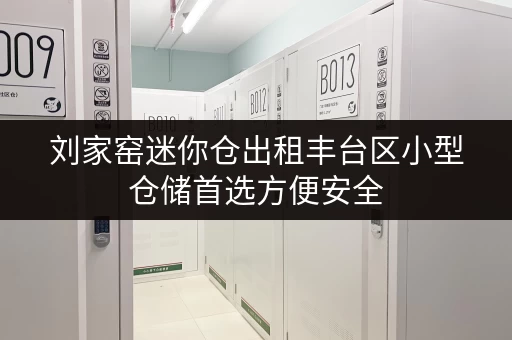 刘家窑迷你仓出租丰台区小型仓储首选方便安全