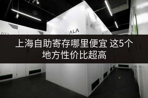 上海自助寄存哪里便宜 这5个地方性价比超高 上海自助寄存哪里便宜 这5个地方性价比超高