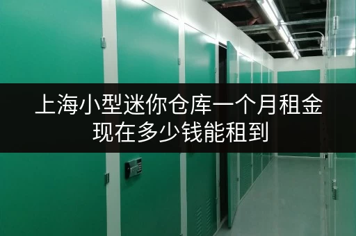 上海小型迷你仓库一个月租金 现在多少钱能租到