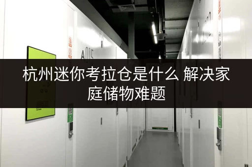杭州迷你考拉仓是什么 解决家庭储物难题 杭州迷你考拉仓是什么 解决家庭储物难题
