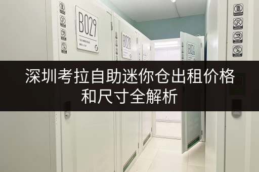 深圳考拉自助迷你仓出租价格和尺寸全解析