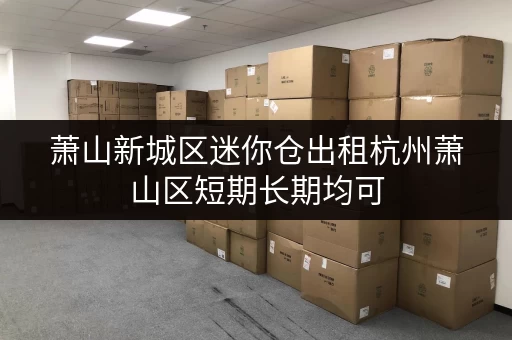 萧山新城区迷你仓出租杭州萧山区短期长期均可