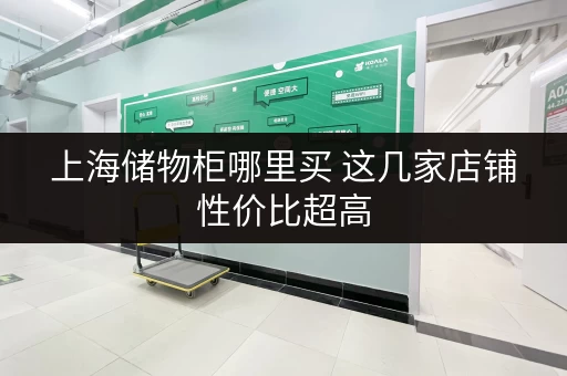 上海储物柜哪里买 这几家店铺性价比超高 上海储物柜哪里买 这几家店铺性价比超高
