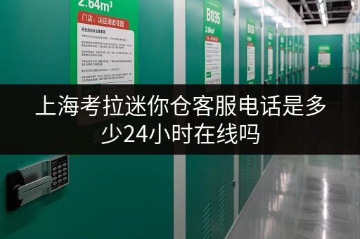 上海考拉迷你仓客服电话是多少24小时在线吗 上海考拉迷你仓客服电话是多少24小时在线吗