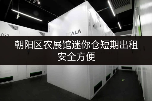 朝阳区农展馆迷你仓短期出租安全方便 朝阳区农展馆迷你仓短期出租安全方便