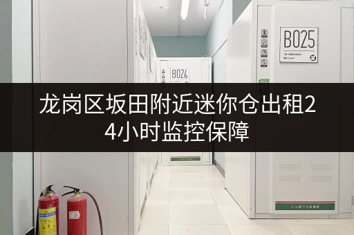 龙岗区坂田附近迷你仓出租24小时监控保障