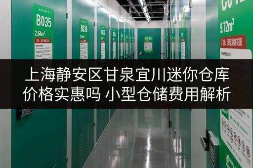 上海静安区甘泉宜川迷你仓库价格实惠吗 小型仓储费用解析