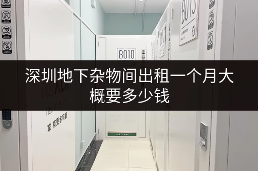 深圳地下杂物间出租一个月大概要多少钱