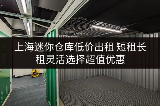 上海迷你仓库低价出租 短租长租灵活选择超值优惠 上海迷你仓库低价出租 短租长租灵活选择超值优惠