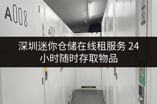 深圳迷你仓储在线租服务 24小时随时存取物品 深圳迷你仓储在线租服务 24小时随时存取物品