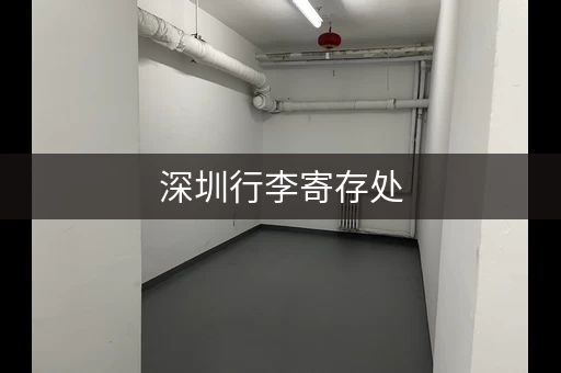 深圳行李寄存处，深圳行李寄存搬家